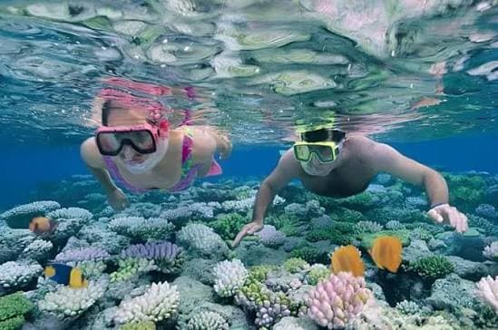 Mnemba Snorkeling
