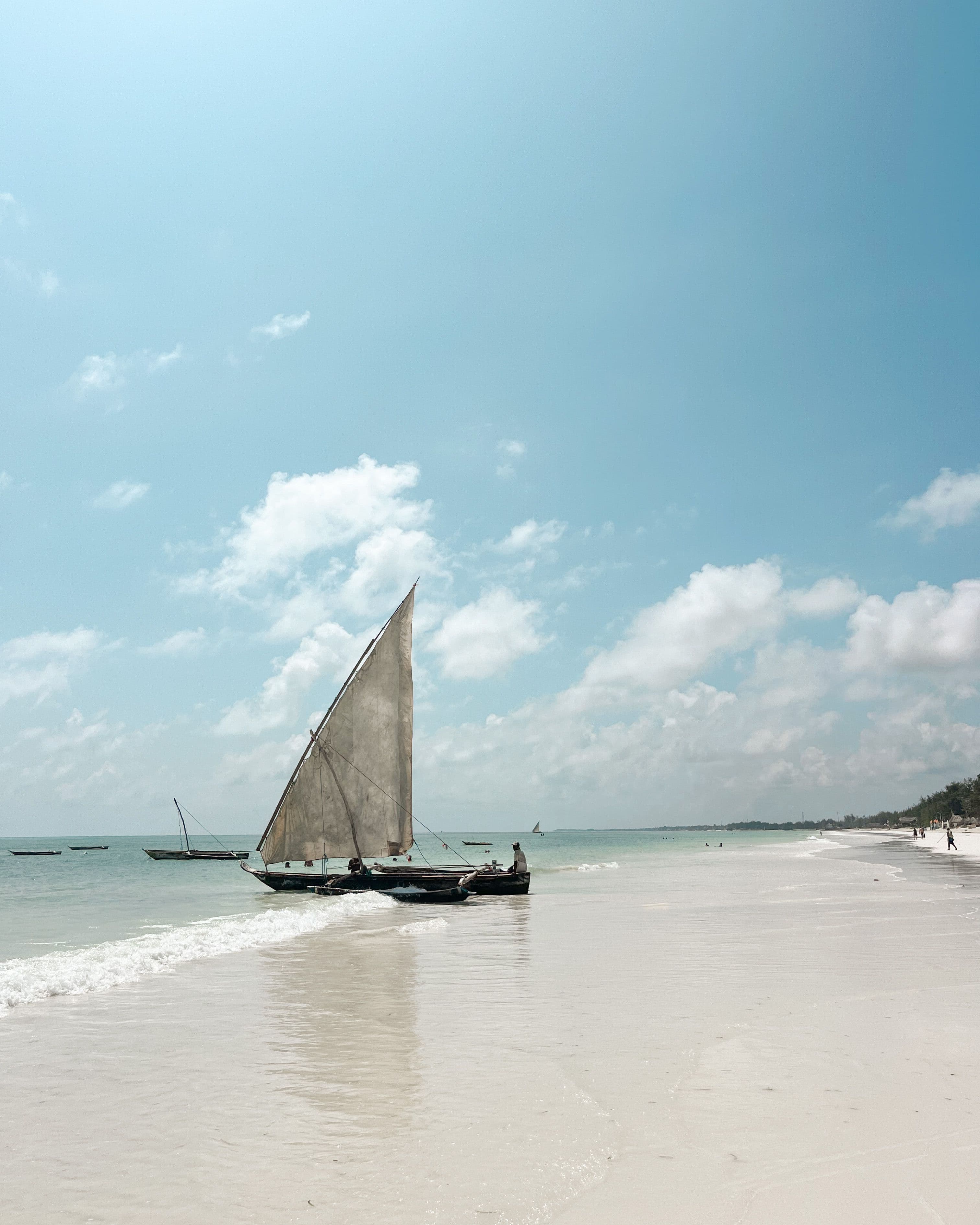 Traditional dhow on the Zanzibar coast